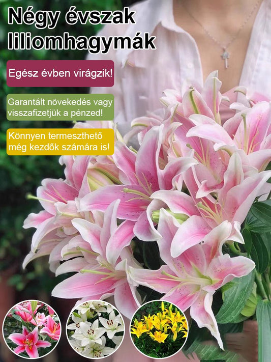 Négy évszak liliom hagymák