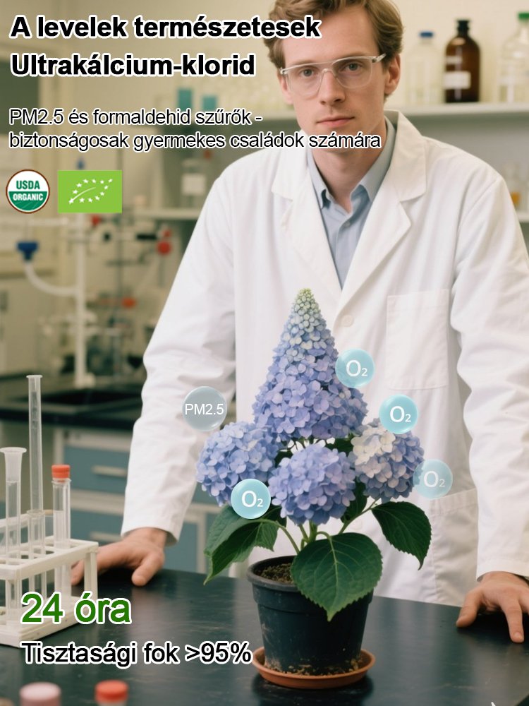 Négy évszakos eper hortenzia magok