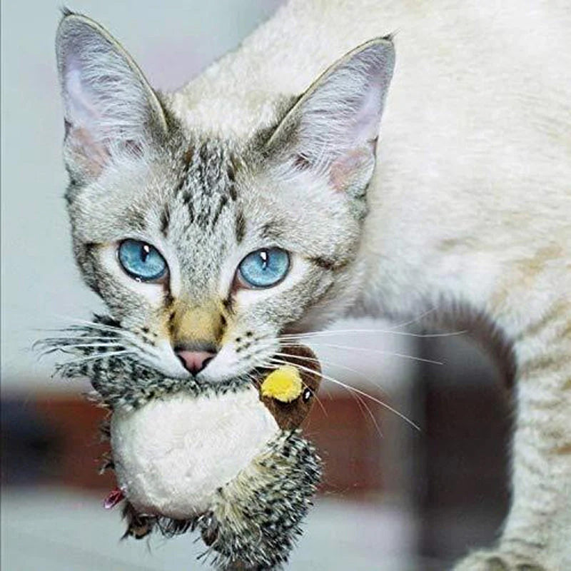 🐱 FRISSÍTETT ARCÚ MACSKAJÁTÉK🐦